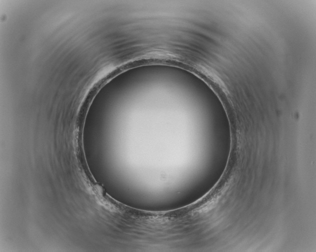 X0000089431029200706291309