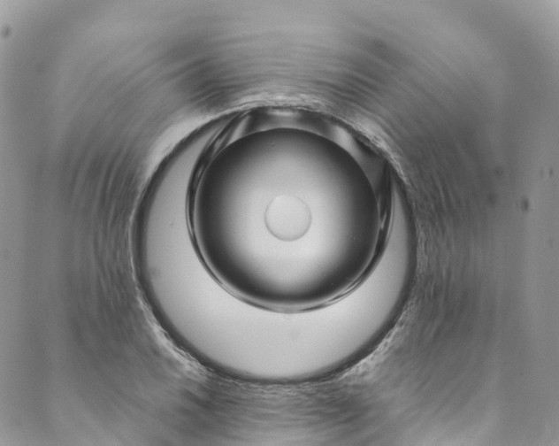 X0000089431030200706291309