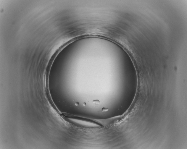 X0000089431032200706291309