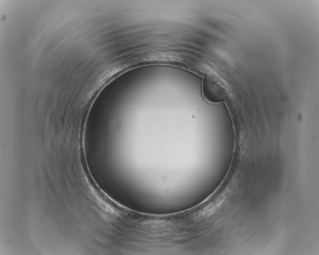 X0000089431033200706291309