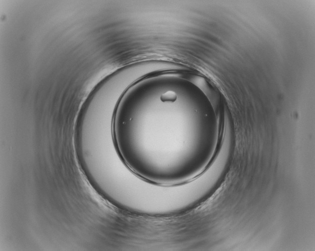 X0000089431034200706291309