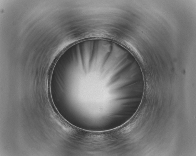 X0000089431035200706291309