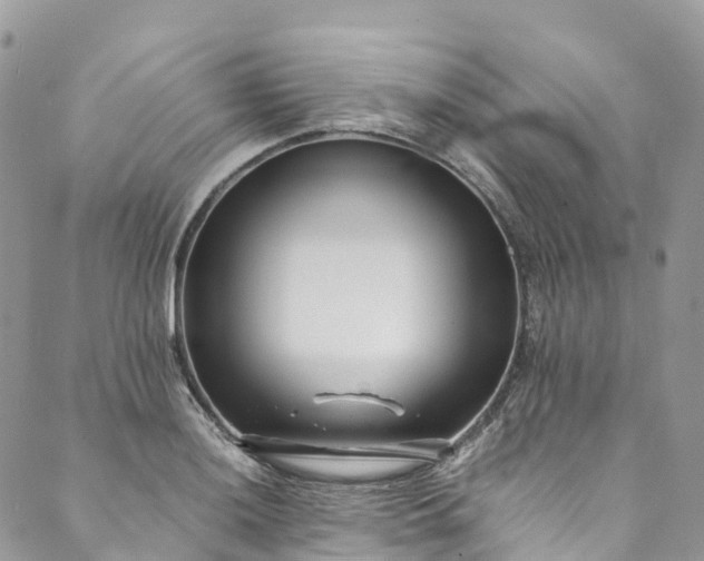 X0000089431036200706291309