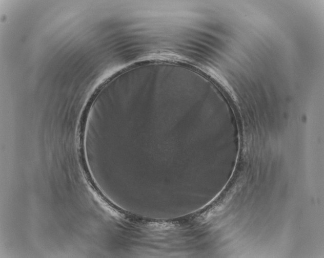 X0000089431037200706291309