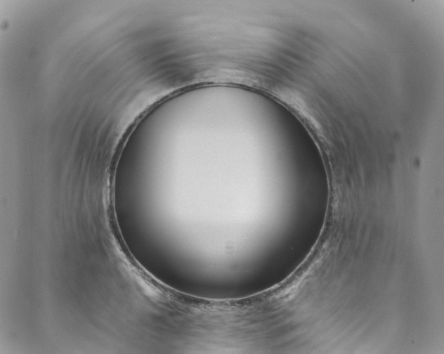 X0000089431040200706291309