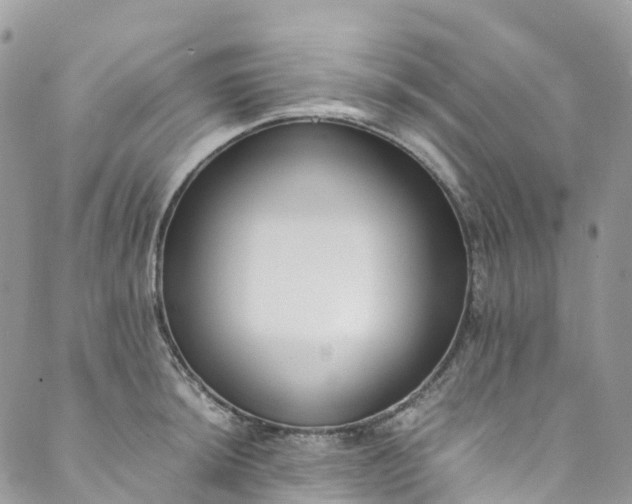 X0000089431044200706291309