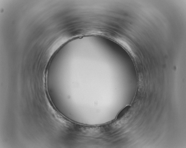 X0000089431047200706291309