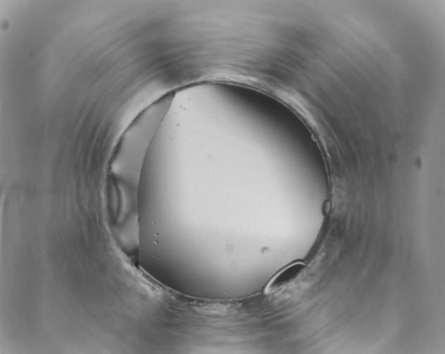 X0000089431048200706291309