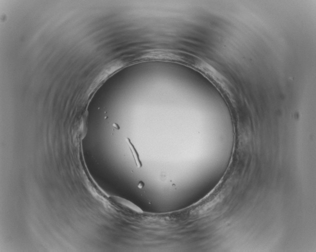 X0000089431049200706291309