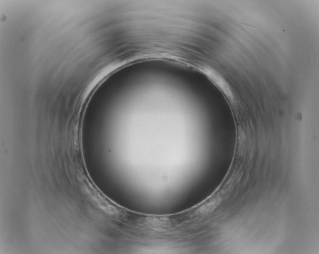 X0000089431052200706291309