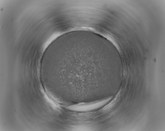 X0000089431054200706291309