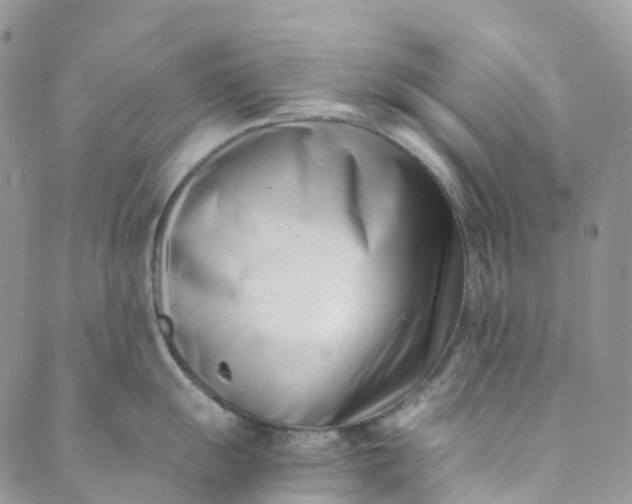 X0000089431055200706291309