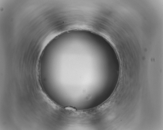 X0000089431056200706291309