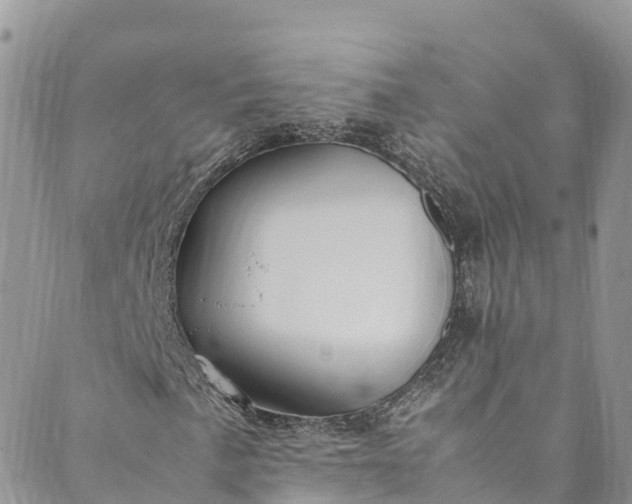 X0000089431057200706291308