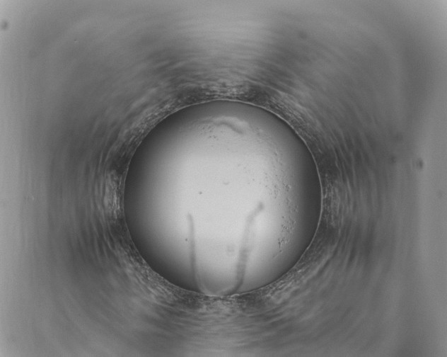 X0000089431058200706291308