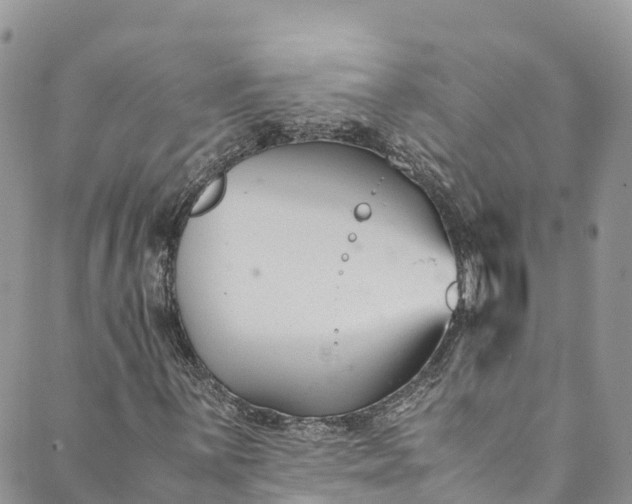 X0000089431059200706291308