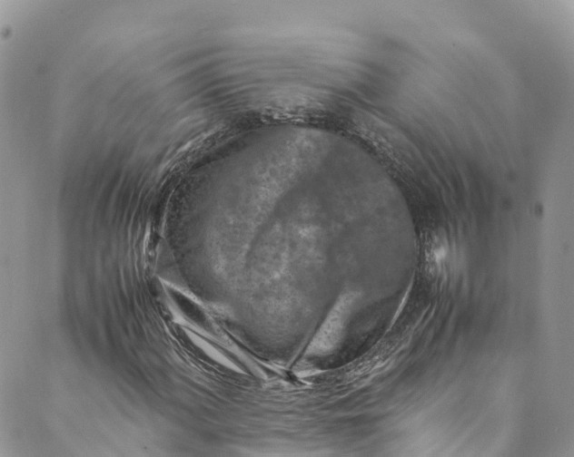 X0000089431060200706291308