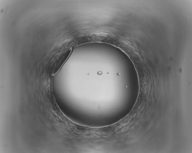 X0000089431061200706291308