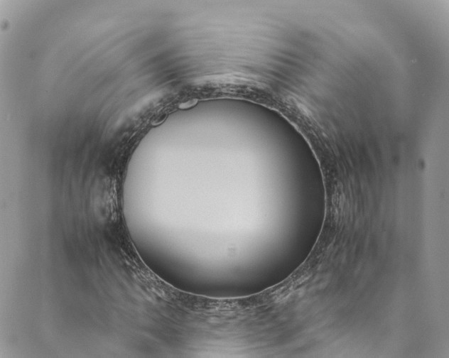 X0000089431062200706291308