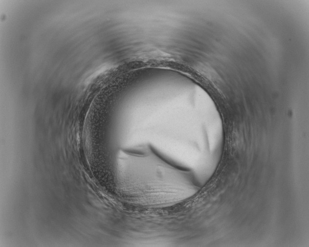 X0000089431063200706291308