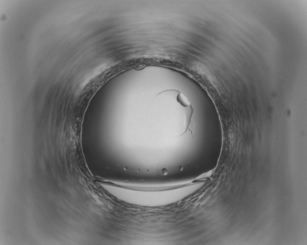 X0000089431064200706291308