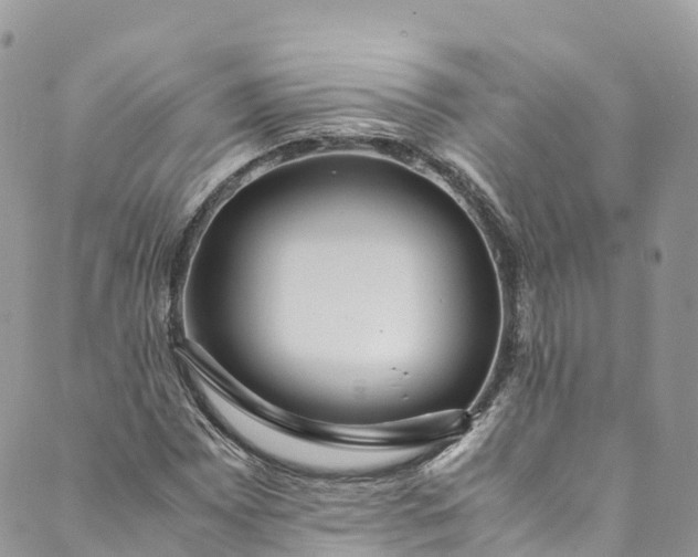 X0000089431065200706291308