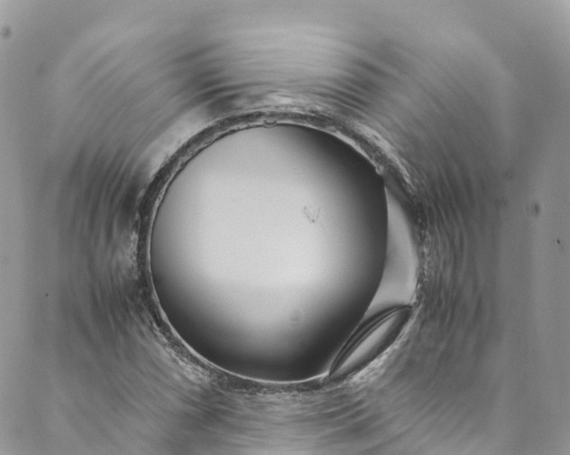 X0000089431066200706291308