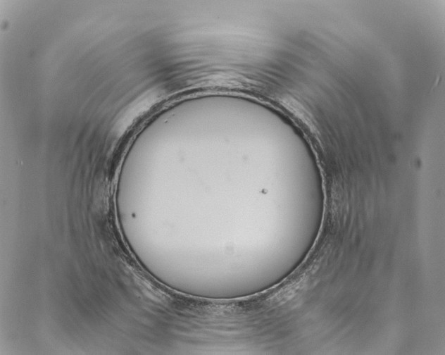 X0000089431067200706291308