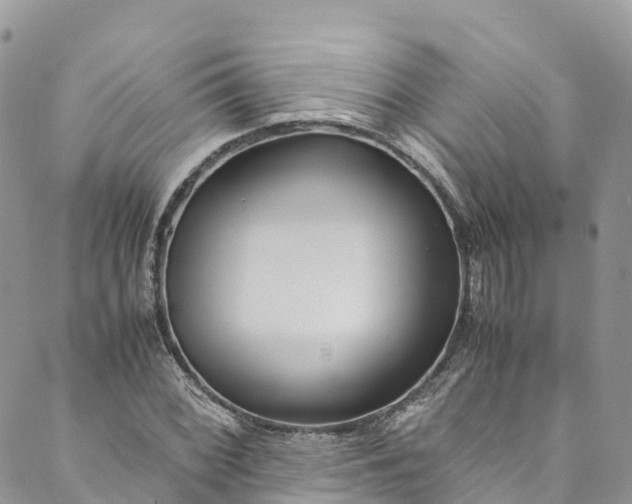 X0000089431068200706291308