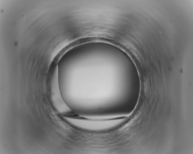 X0000089431069200706291308