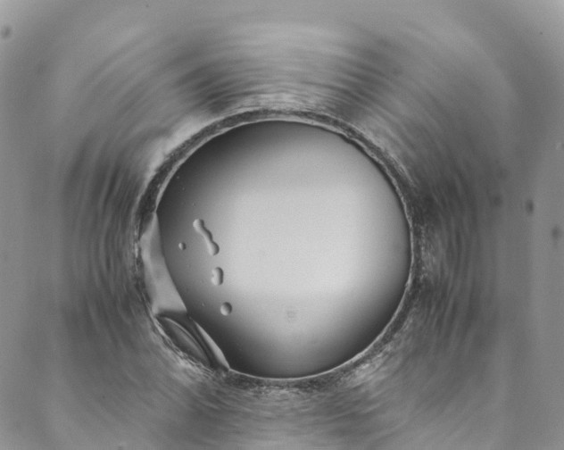 X0000089431070200706291308