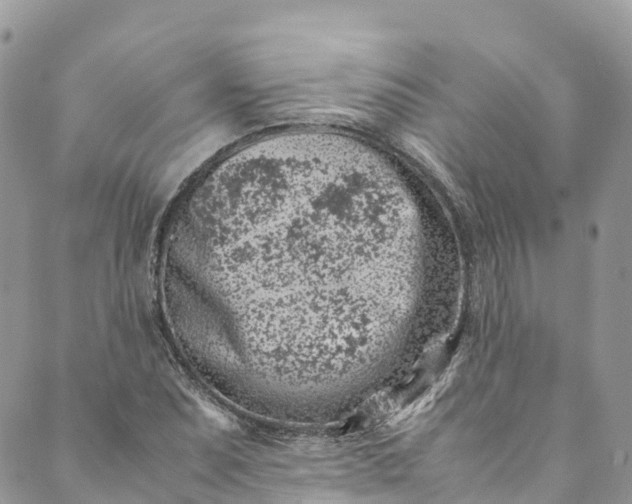 X0000089431071200706291308