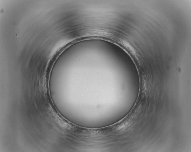 X0000089431072200706291308