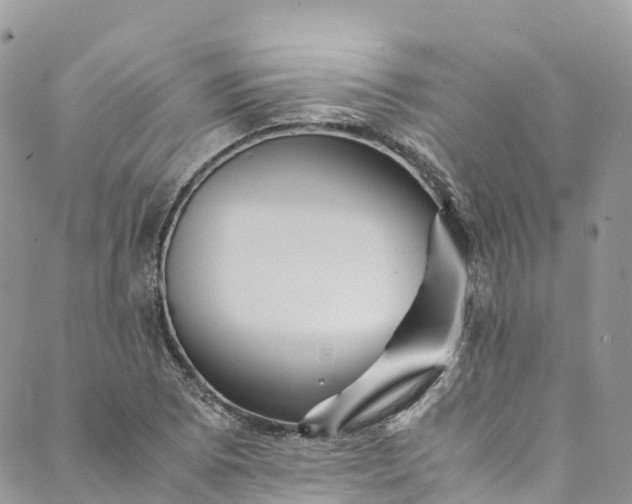 X0000089431073200706291308