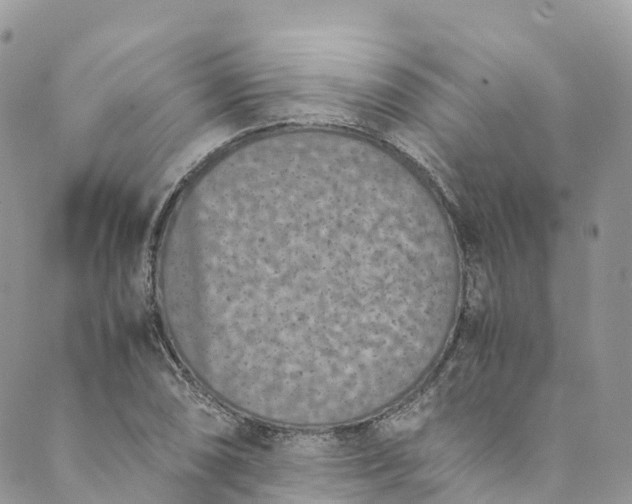 X0000089431074200706291308