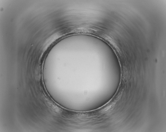 X0000089431075200706291308