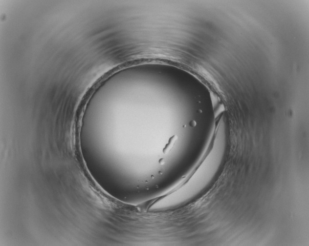 X0000089431076200706291308