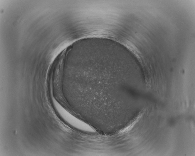 X0000089431077200706291308