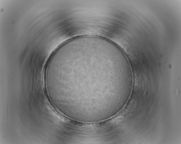 X0000089431078200706291308