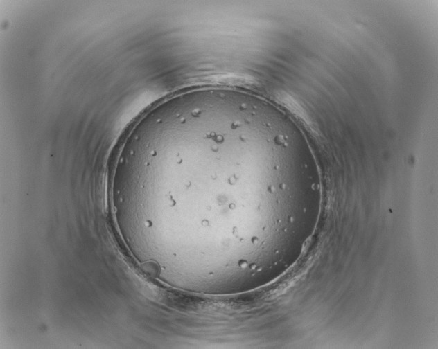 X0000089431079200706291308