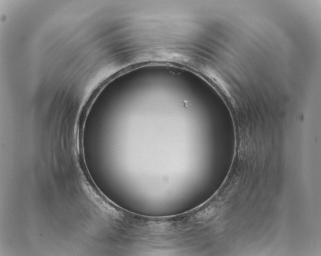 X0000089431080200706291308