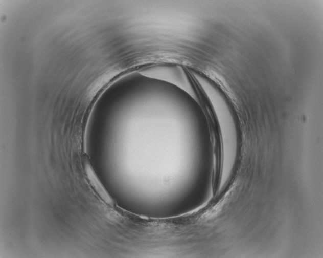 X0000089431081200706291308