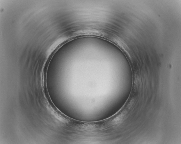 X0000089431082200706291308