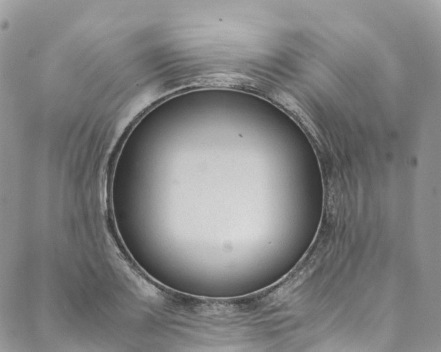 X0000089431083200706291308