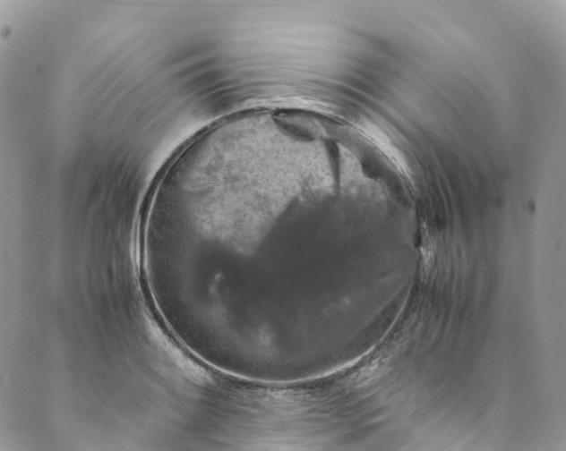 X0000089431084200706291308