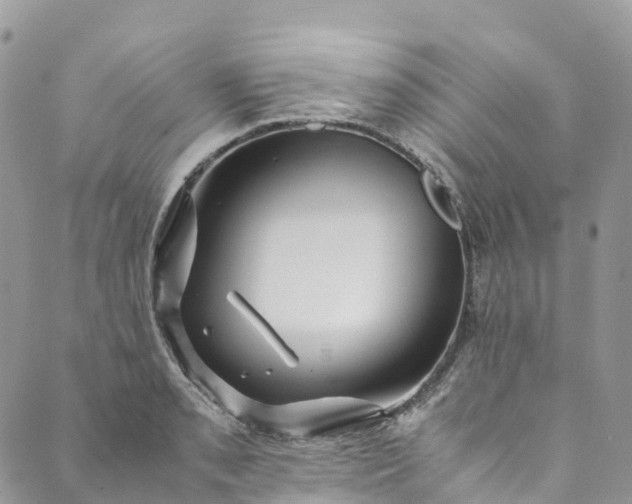 X0000089431085200706291308