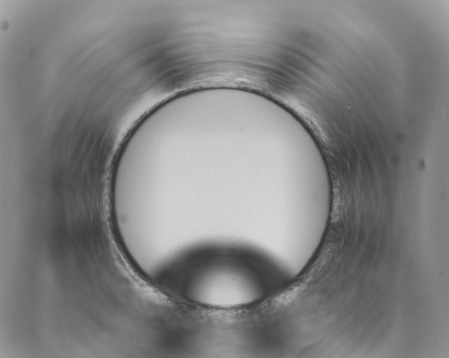 X0000089431086200706291308