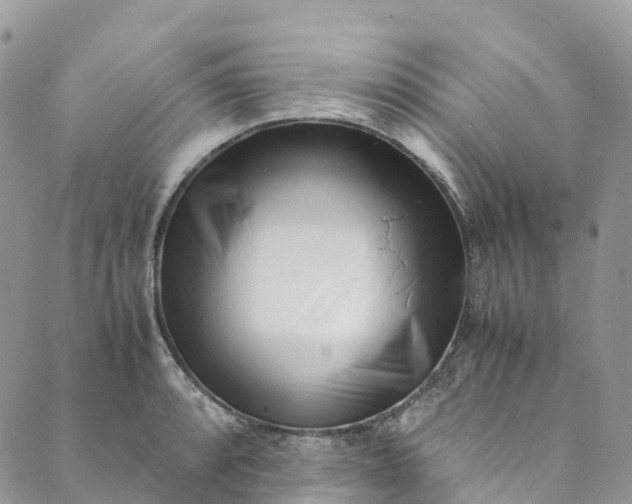 X0000089431088200706291308