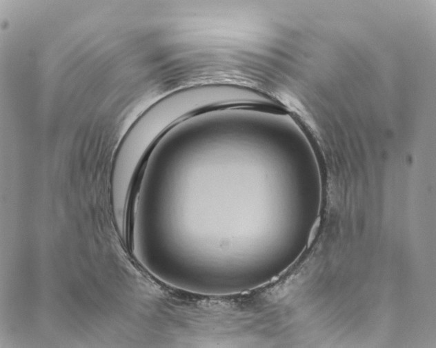 X0000089431089200706291308