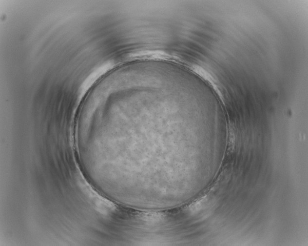 X0000089431090200706291308